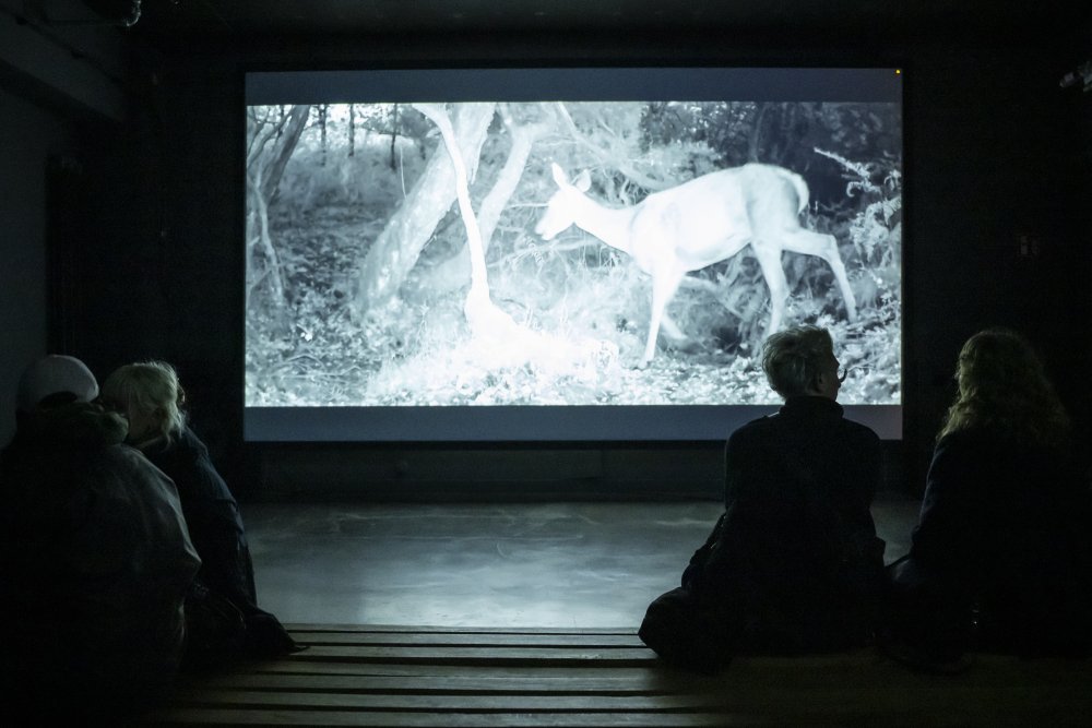 Nature makes no noise von Davor Sanvincenti | © Bernd Brundert Nature makes no noise von Davor Sanvincenti | © Bernd Brundert