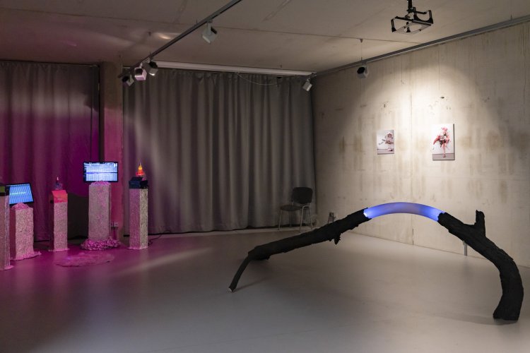 Ausstellungsansicht | © Victoria Tomaschko Ausstellungsansicht | © Victoria Tomaschko